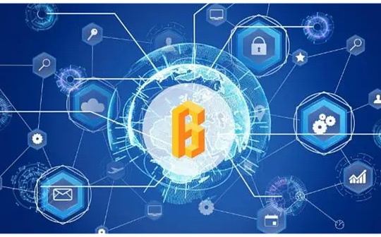为何Web2.5项目更受机构青睐？