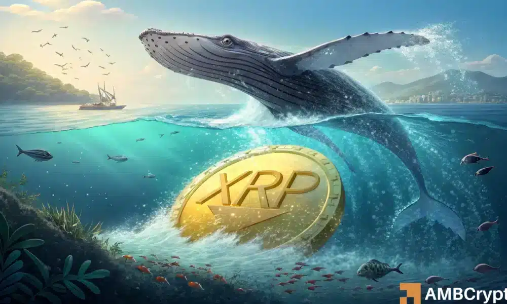 XRP 抛售导致价格跌破 3 美元——反弹结束了吗？
