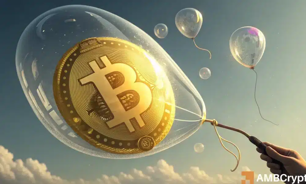 比特币——尽管近期波动，但为何 BTC 并未陷入价格泡沫
