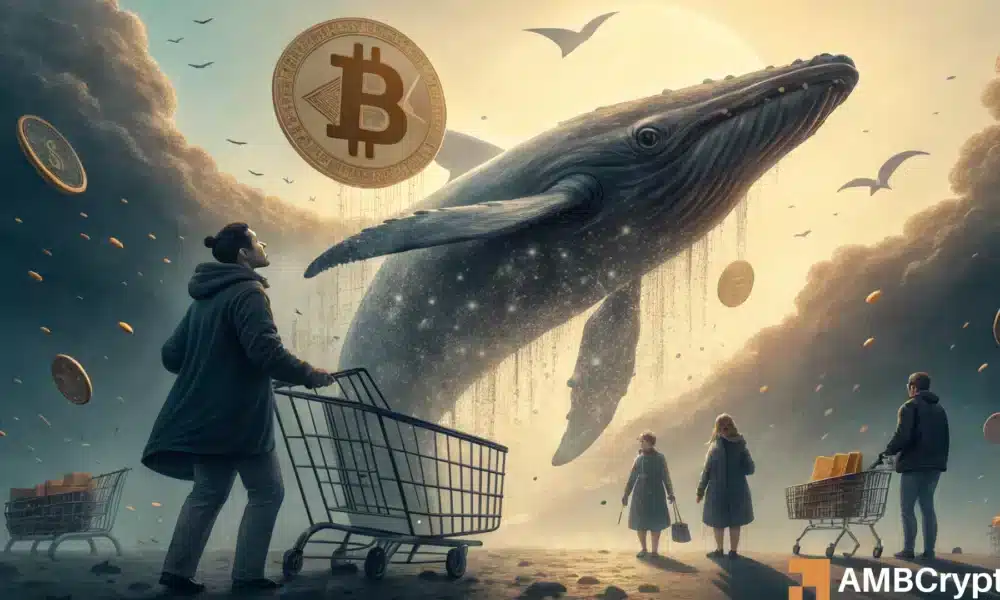 比特币鲸鱼在耍你还是耍你？11万美元的底线似乎存疑