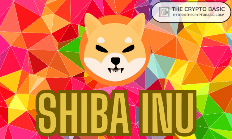Shiba Inu 宣布首次选举临时主席和 DAO 理事会