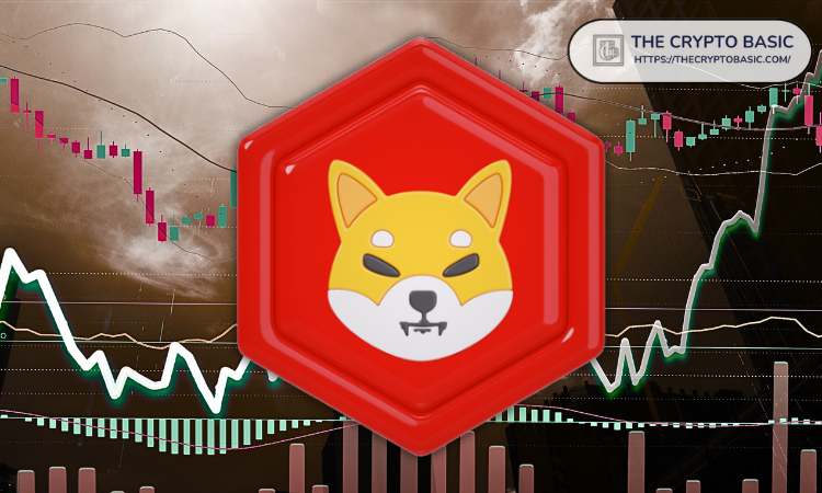 如果柴犬成为下一轮牛市的表情包之王，它的价格是多少？