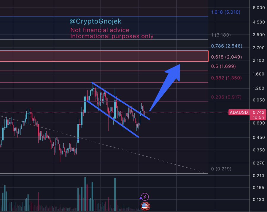 Analyst gives ADA next target