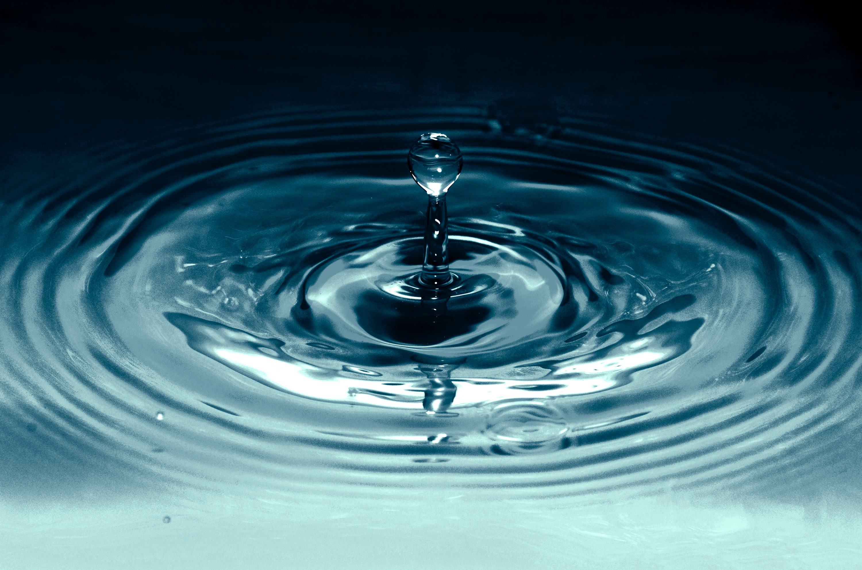 在 Caitlin Long 抨击 XRP 中心化主张后，Ripple 首席技术官加入战局