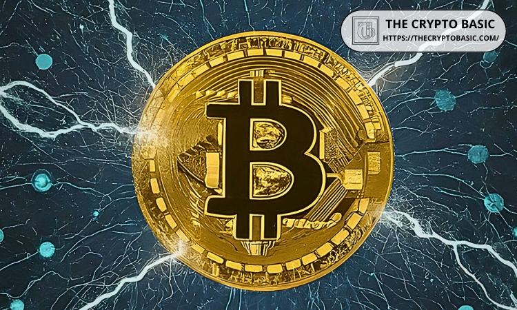 Block CFO 表示比特币可以成为驱动互联网的开放协议
