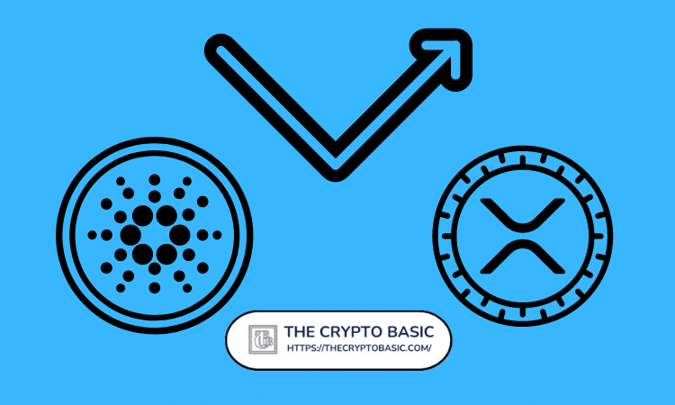 XRP 和 Cardano ETF 审批的新时间表