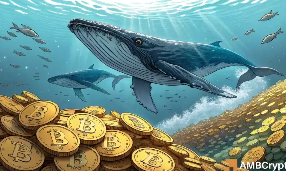 比特币创纪录的积累将如何推动比特币价格上涨