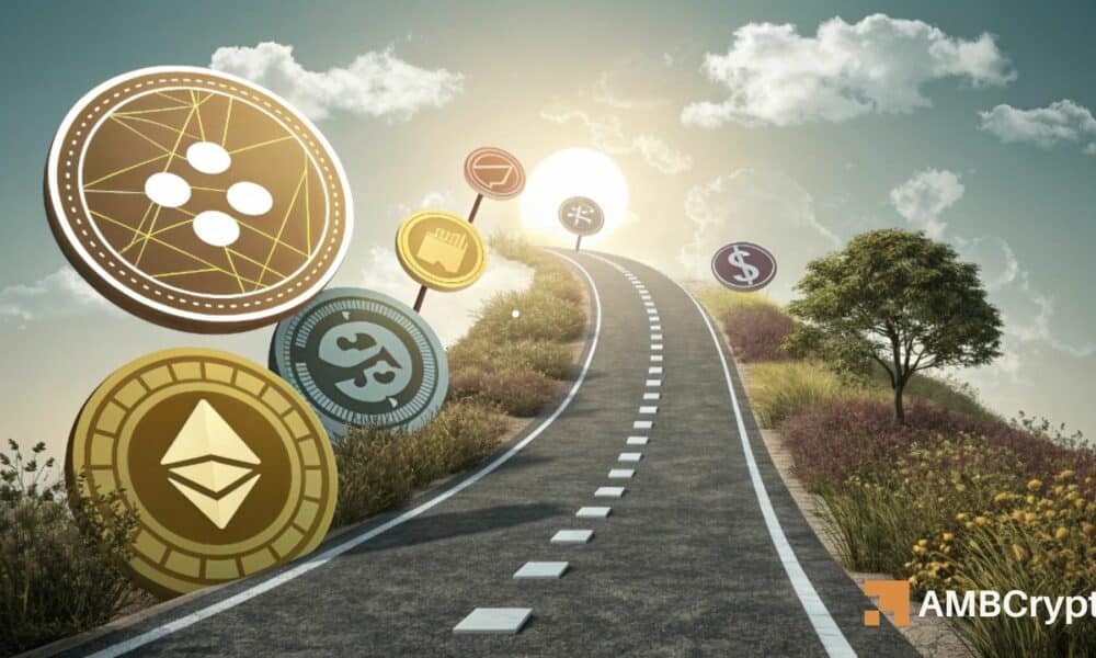 随着谷歌搜索量创下 5 年来新高，山寨币是否会重现 2021 年的涨势？