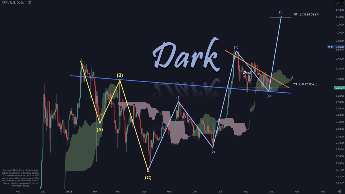 Dark Defender XRP daily chart